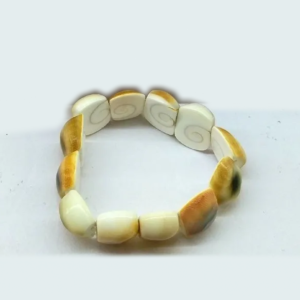 Gomti Chakra Bracelet